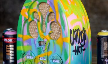 Arte Piauiense no Museu Nacional de Brasília